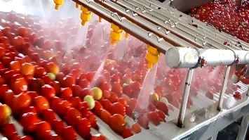 2024 Ligne de production de jus de tomate 5T/H en Mongolie intérieure en Chine